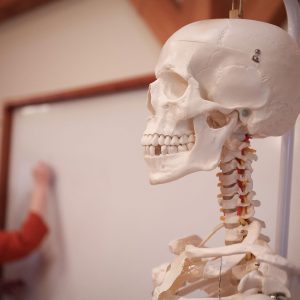 Clinical Massage Strategies: Functional Assessment and Treatment of the Cervical Spine